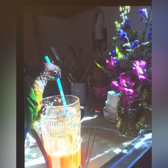 Jeweler - Picture 10 of 15